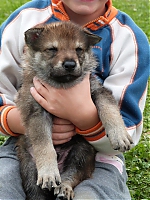 vrhy_i2Cj_22_8_2013_051.jpg