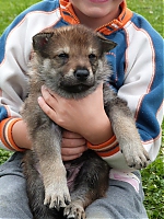 vrhy_i2Cj_22_8_2013_052.jpg