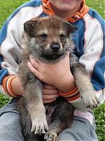 vrhy_i2Cj_22_8_2013_053.jpg