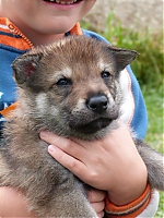 vrhy_i2Cj_22_8_2013_054.jpg