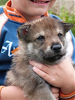 vrhy_i2Cj_22_8_2013_055.jpg