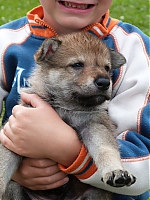 vrhy_i2Cj_22_8_2013_060.jpg