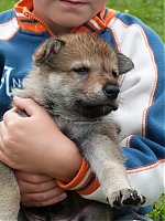 vrhy_i2Cj_22_8_2013_061.jpg