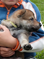 vrhy_i2Cj_22_8_2013_062.jpg