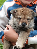 vrhy_i2Cj_22_8_2013_065.jpg