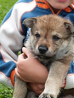 vrhy_i2Cj_22_8_2013_067.jpg