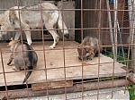 vrhy_i2Cj_22_8_2013_071.jpg