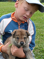 vrhy_i2Cj_22_8_2013_075.jpg