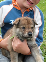 vrhy_i2Cj_22_8_2013_076.jpg