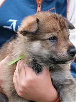 vrhy_i2Cj_22_8_2013_077.jpg