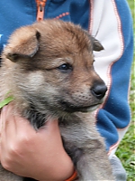 vrhy_i2Cj_22_8_2013_078.jpg