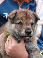 vrhy_i2Cj_22_8_2013_079.jpg