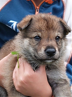 vrhy_i2Cj_22_8_2013_080.jpg