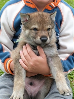 vrhy_i2Cj_22_8_2013_085.jpg