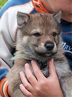 vrhy_i2Cj_22_8_2013_087.jpg
