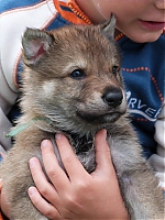 vrhy_i2Cj_22_8_2013_088.jpg