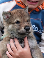 vrhy_i2Cj_22_8_2013_090.jpg