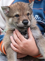 vrhy_i2Cj_22_8_2013_095.jpg