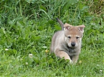 vrhy_i2Cj_22_8_2013_096.jpg
