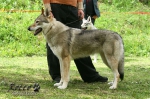 Název souboru=witch002.jpg
Velikost souboru=125KB
Rozměry=800x528
Datum přidání=20. Červenec 2011 witch002.jpg